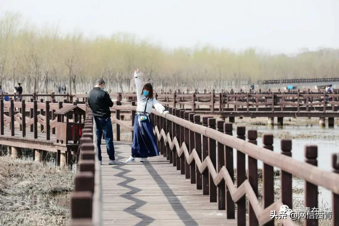 天津2022哪些公园恢复开放,天津临港亲海公园什么时候开放