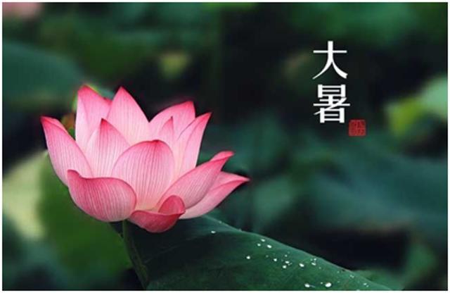 二十四节气之大暑养生,二十四节气之大暑中国天气万年历