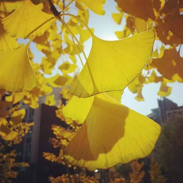 手机拍照入门教程从零开始学摄影,手机人像摄影教程从零开始学摄影