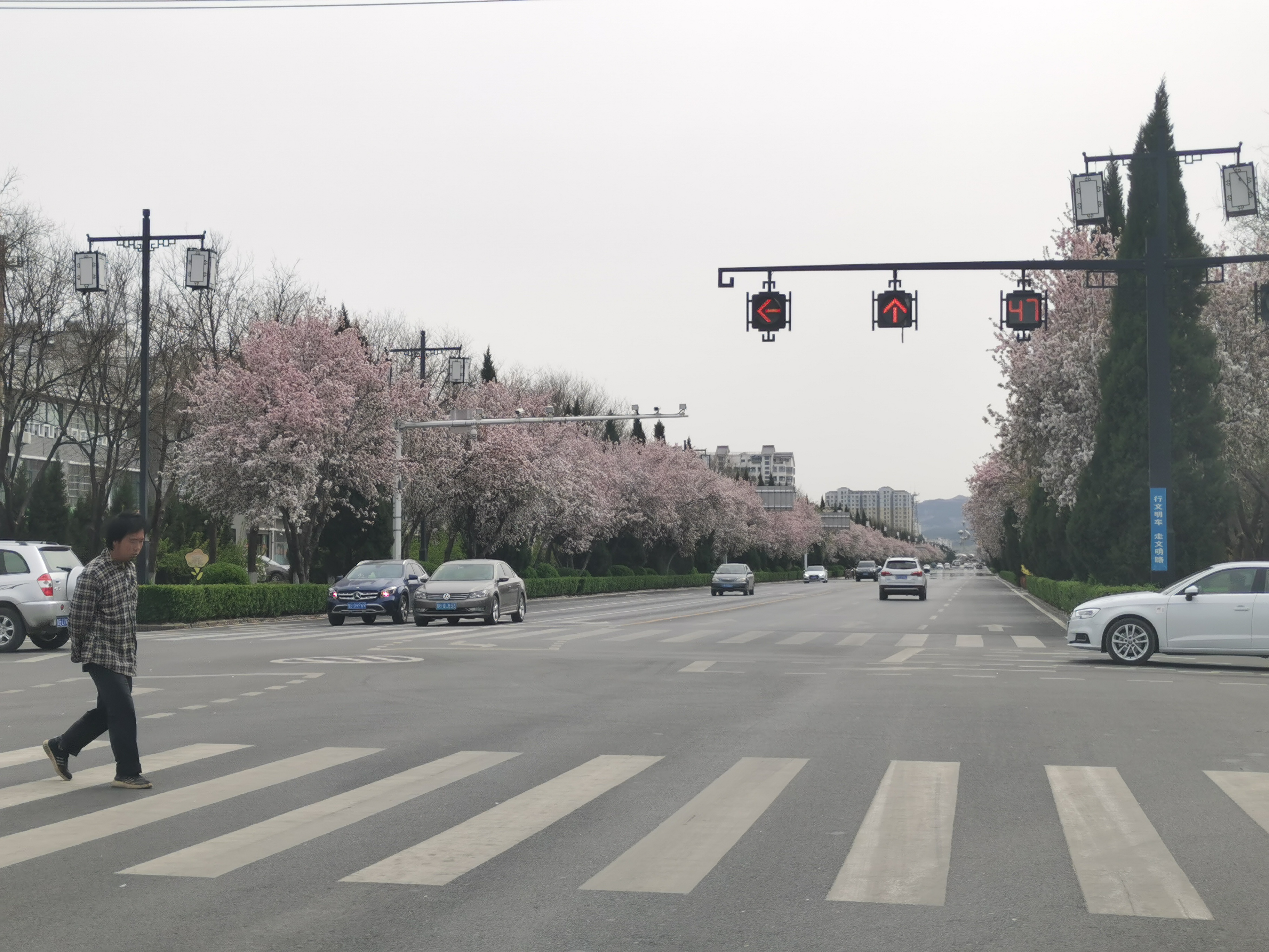 英雄归来最高礼遇抖音,英雄归来最高礼遇视频