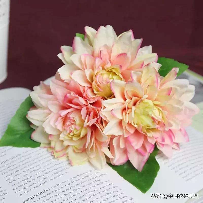 100种鲜花的花语樱花,100种不同花的花语