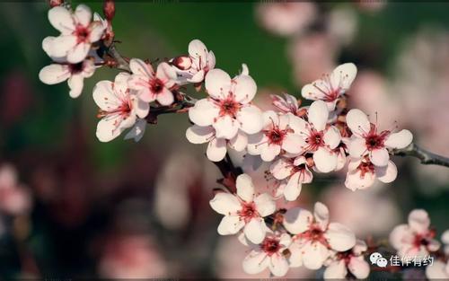 余秋雨经典语录感情,余秋雨名言句句有哲理