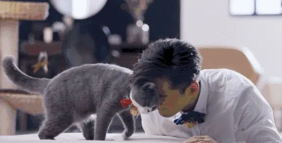 辛追夫人的墓在第几层,辛追夫人墓漂亮的小人俑