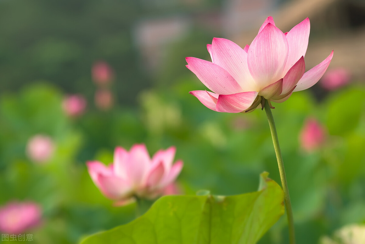 妈妈母乳产奶量对照表,母乳妈妈怎么让奶水越来越少