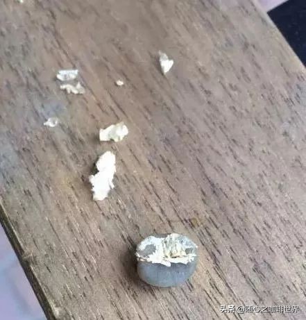 咖啡从采摘到制作过程视频,咖啡采摘加工过程