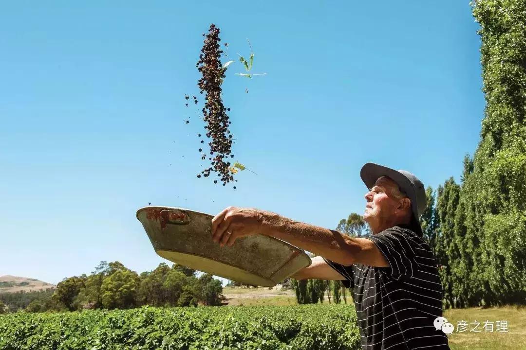 中国人在澳大利亚做劳务中介,移民澳大利亚后工作好找吗