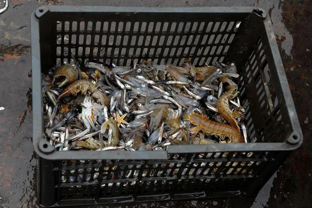 浣犲涔呮病鍘绘捣杈瑰害鍋囦簡,浣犲涔呮病鏈夊嚭闂ㄦ梾娓镐簡