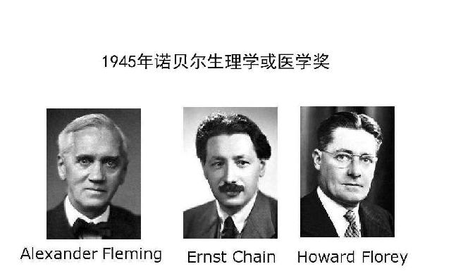 青霉素价格为什么便宜,为何现在的青霉素价格很低