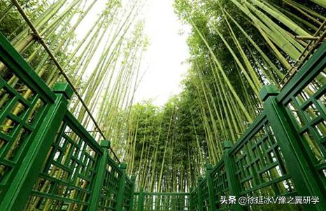 郑州五一近郊游的好地方,不出郑州就能游玩的地方