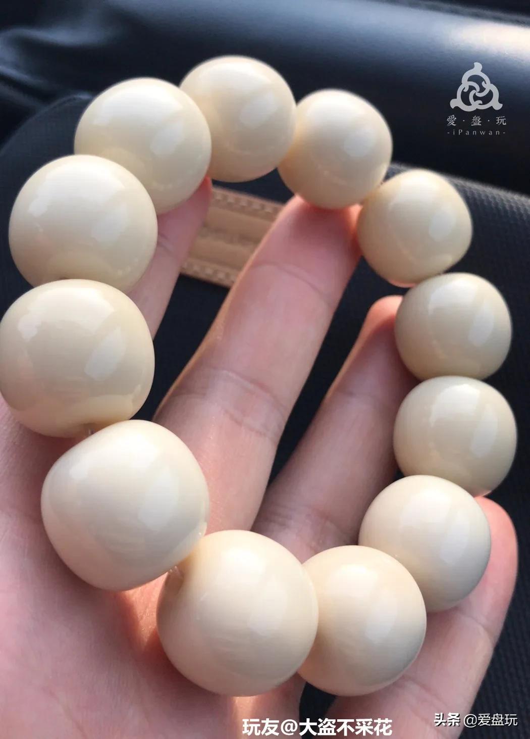 星月菩提没有星的是什么品种,星月菩提只有星没有月