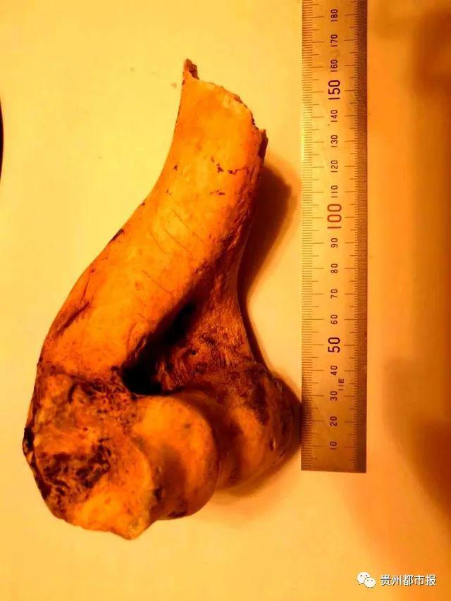 探索神秘岩洞,探秘山洞发现神秘生物