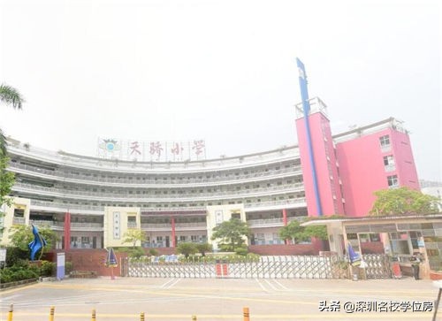 宝安小学排名一览表,弘雅小学在宝安的排名