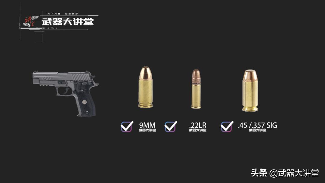 西格绍尔p226开箱评测,西格绍尔p226性能特点