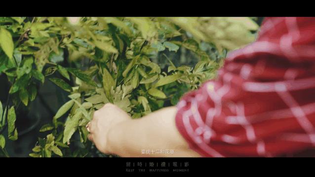 潮汕男方六礼俱全红包是什么,潮汕婚嫁习俗三媒六礼