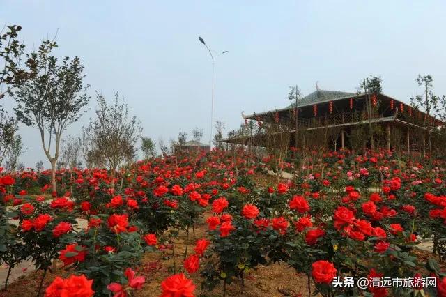 美景就在家门口下句是,美景就在家门外