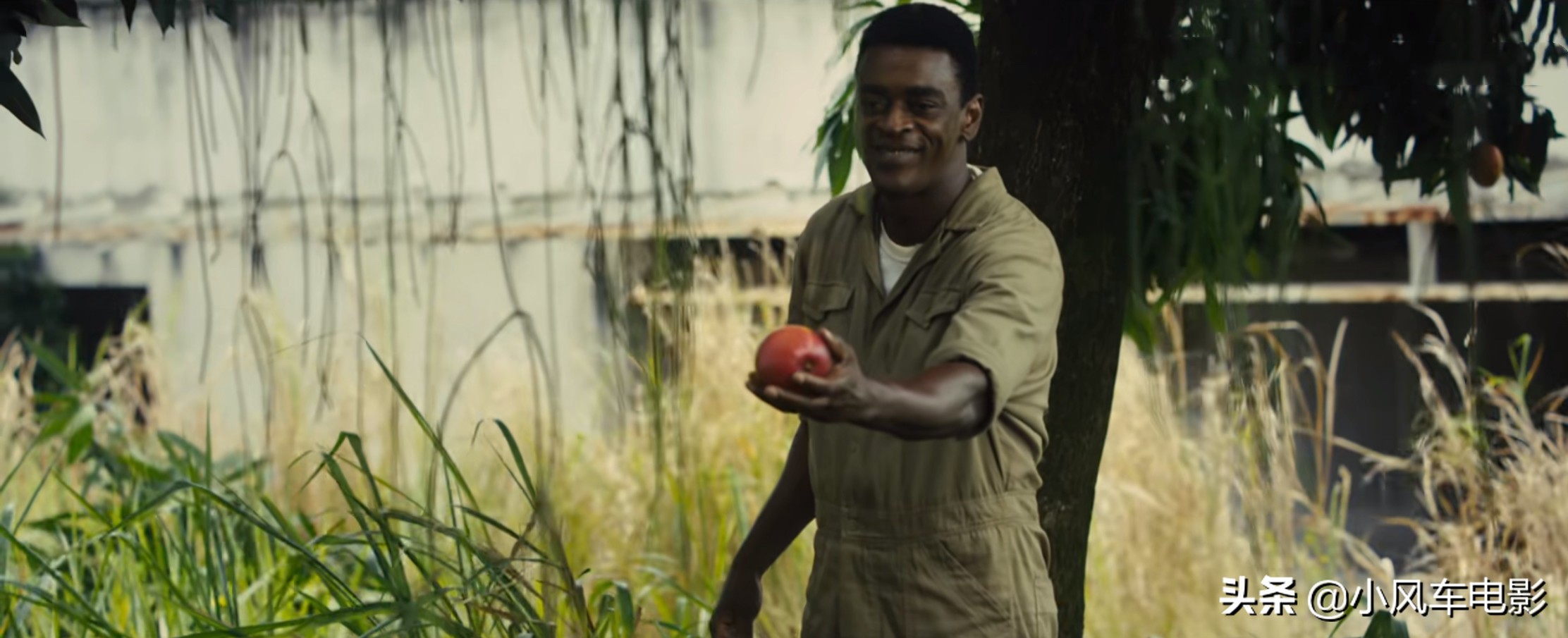 球王贝利的父亲是谁,球王贝利父母