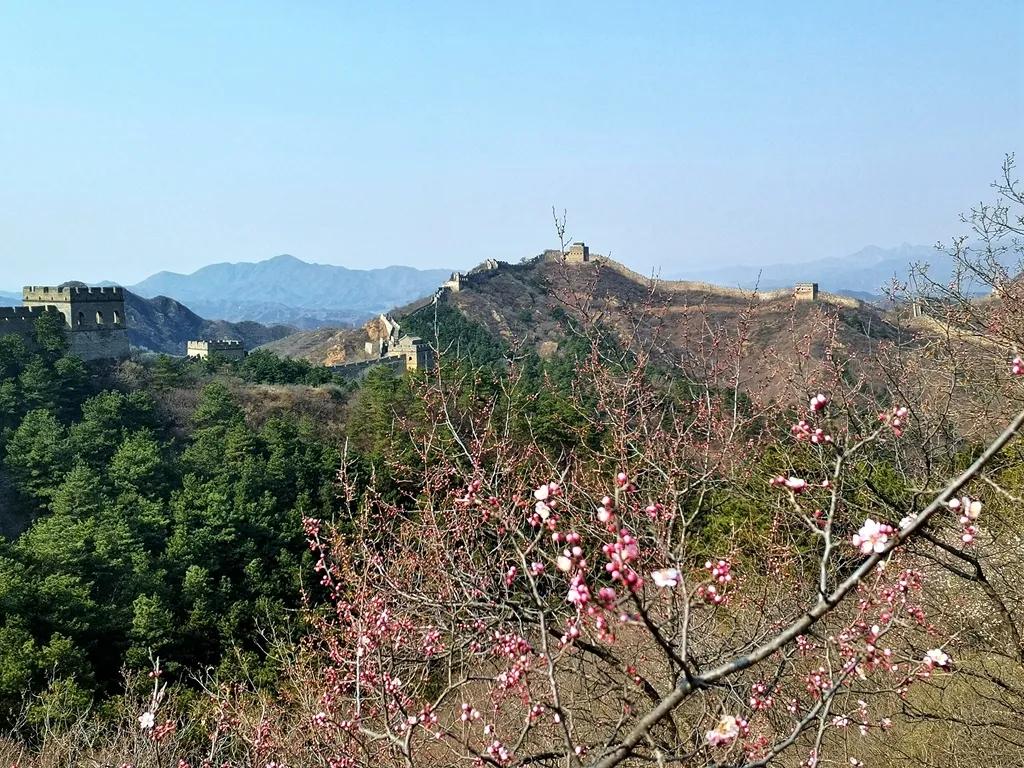 云游江山赏美景,云游花花世界欣赏杜鹃花