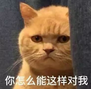 it不适合什么类型人学,it不适合女生学吗