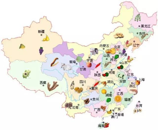 全国各地的特产你知道多少,全国各地美食你知道有哪些