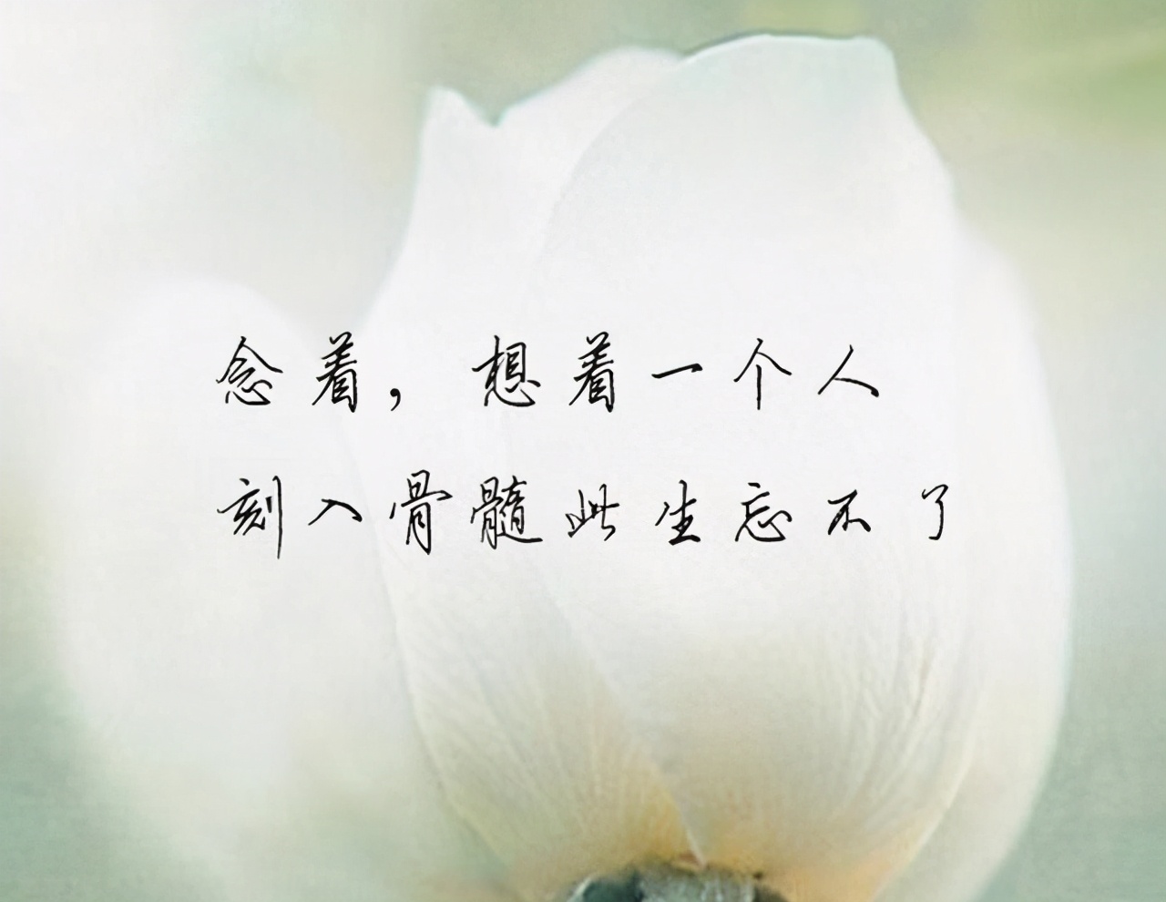 致爱过的你：“我喜欢现在的自己，怀念过去的我们”