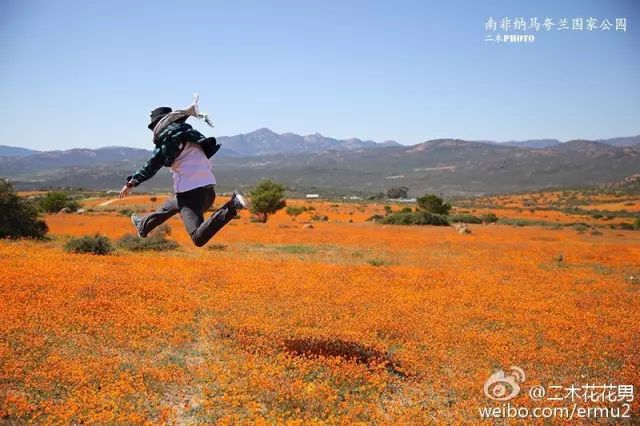 澶氳倝澶х浜屾湪,澶氳倝杈句汉浜屾湪