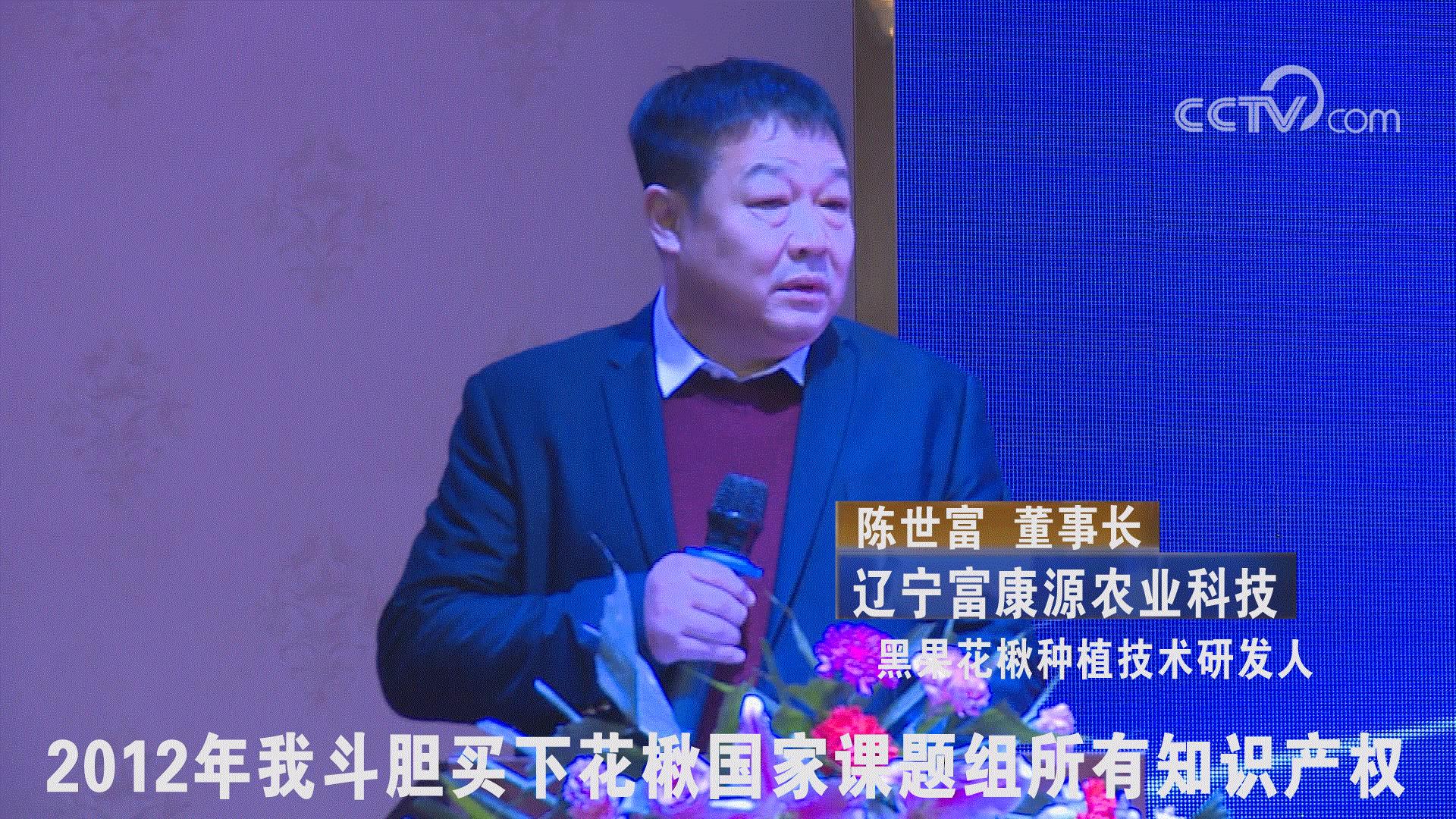 黑果花楸和蓝莓,黑果花楸和蓝莓有什么区别