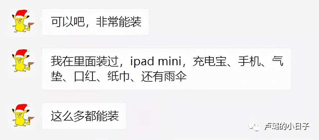 chloe腋下包,买bv包包的十大问题