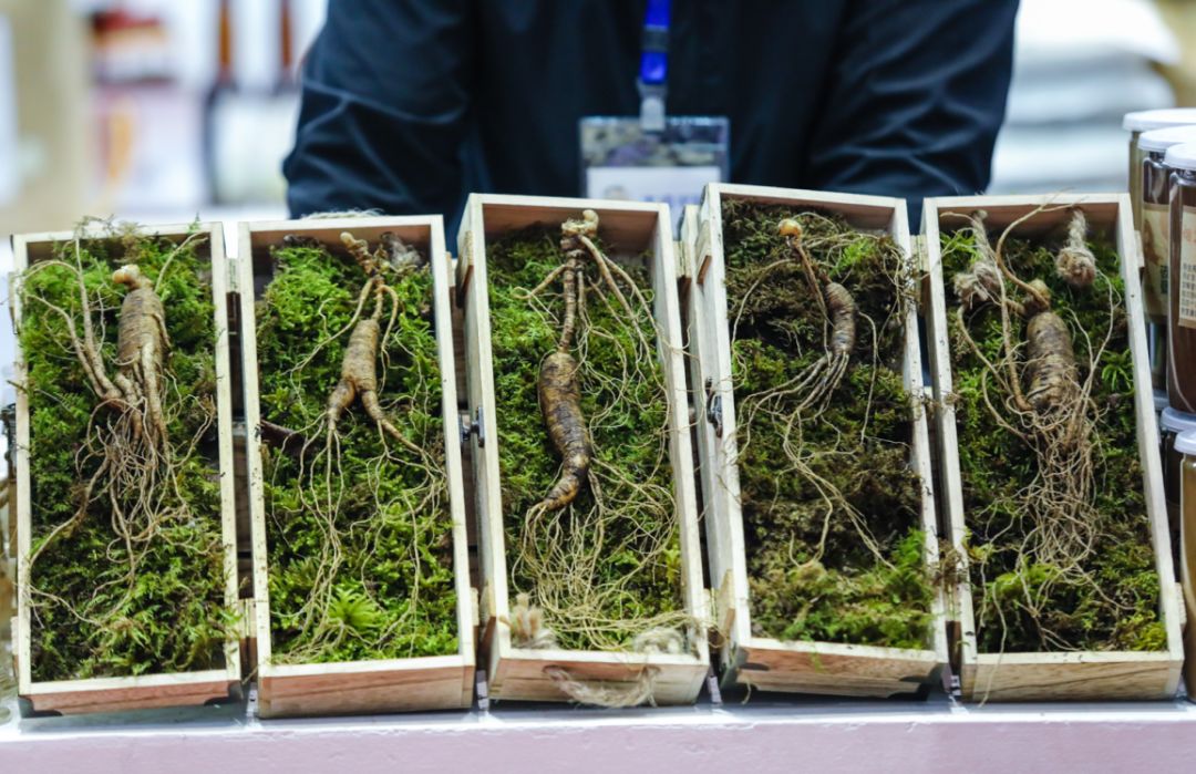 食博会领门票要什么证吗,食博会优惠券