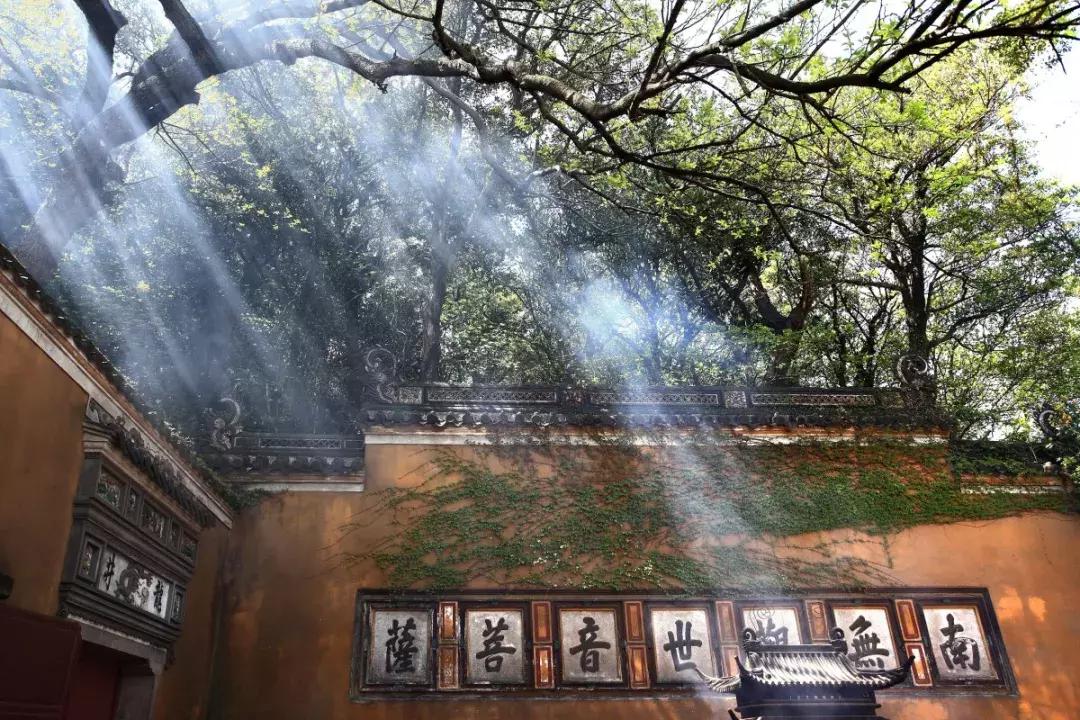 普陀山岛上海景酒店推荐第一名,海天一色面朝大海的度假酒店推荐