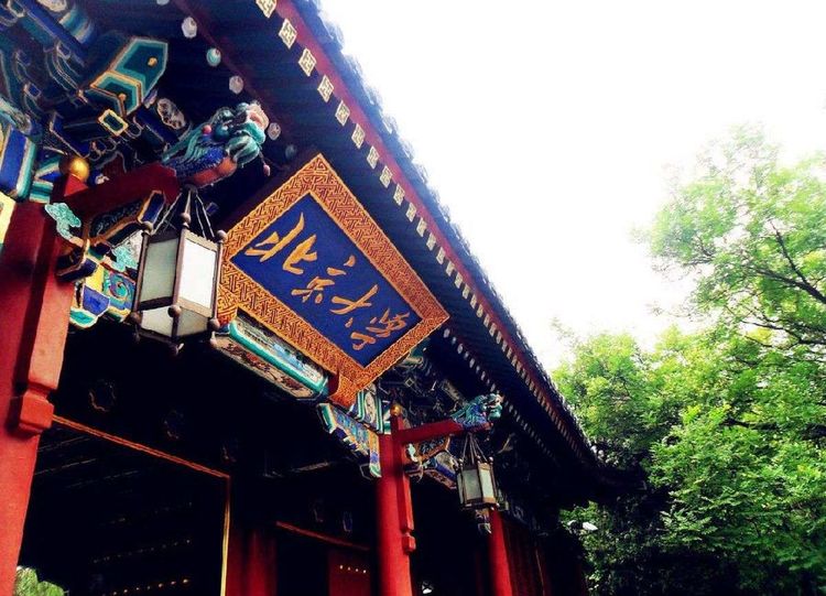 漫步北大校园,北大印象图片