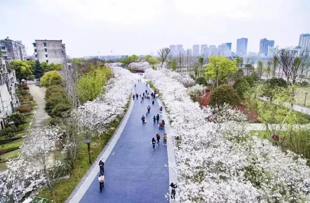 金华万固蹦床主题公园,金华最新开放的公园