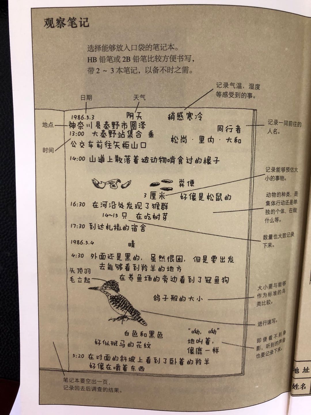 蜘蛛为什么不是昆虫,蜘蛛是不是昆虫为什么是昆虫