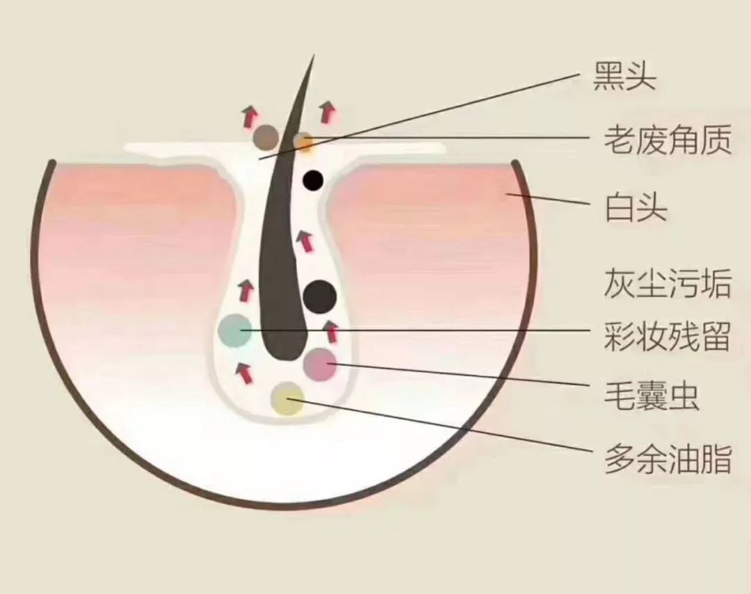 泫雅宣传品牌内衣,泫雅内衣广告曝光图片