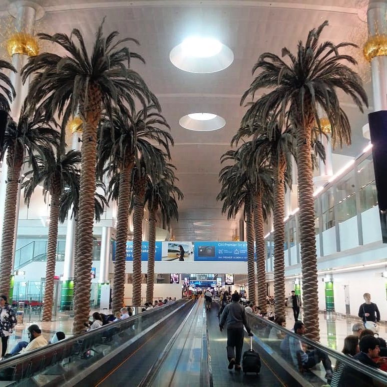 机场免税店必买好物,免税店便宜好用推荐