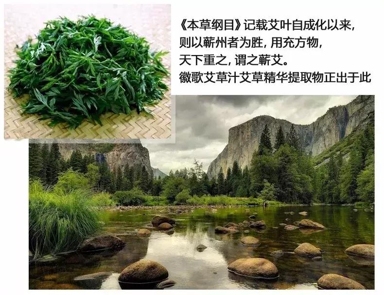 挑战3天不洗头依然干爽不油腻,4天不洗头头发就油了正常吗