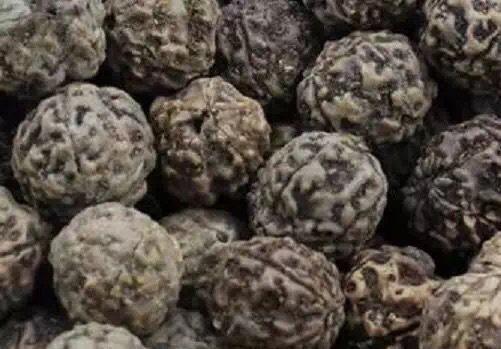 新入手的金刚菩提正确的盘玩步骤,文玩金刚菩提常识