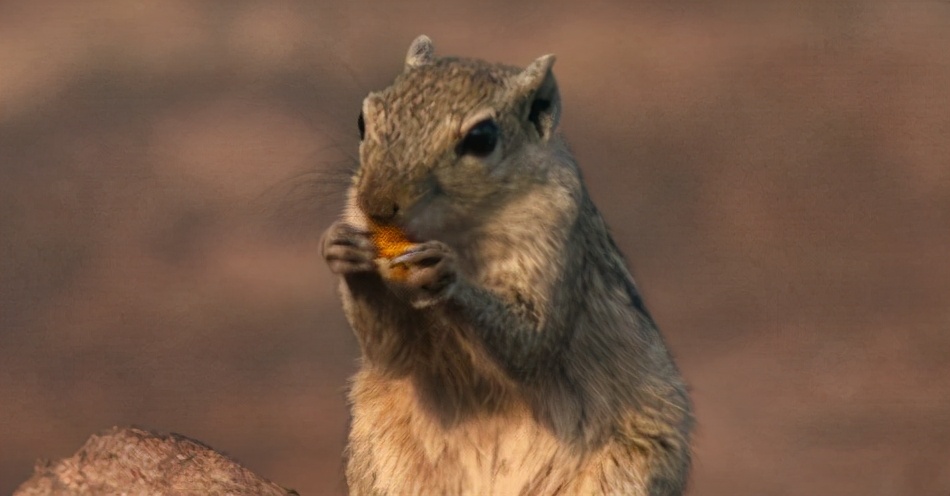 css通俗易懂的讲解,css底层知识与技巧