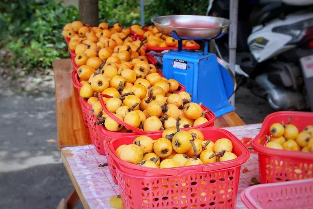 飞拉达攀岩溜索丛林溯溪地心探洞,清远飞拉达丛林探险
