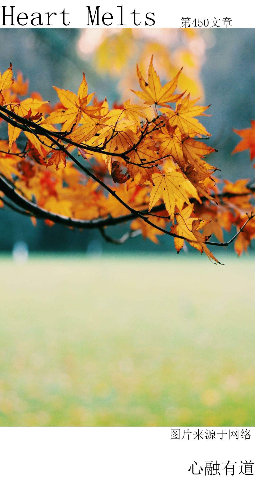 自卑的我放弃了初恋,20岁了还没谈过恋爱怎么找对象