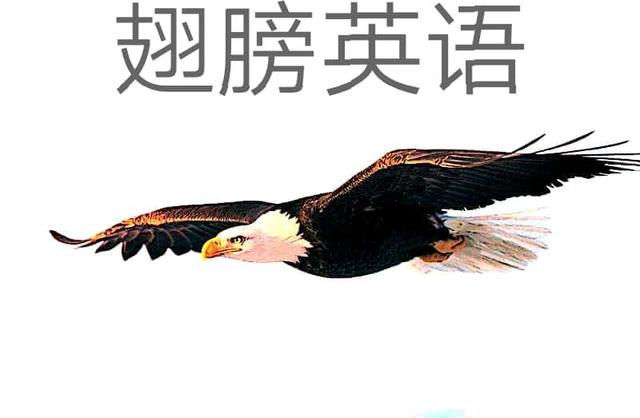 出国旅游英语教学视频,出国旅游实用英语中文对照