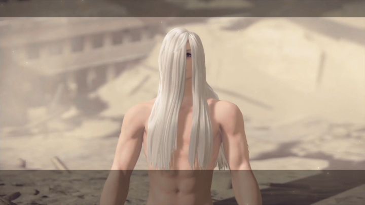 尼尔机械纪元为什么评分这么高,尼尔机械纪元和人工生命的关系