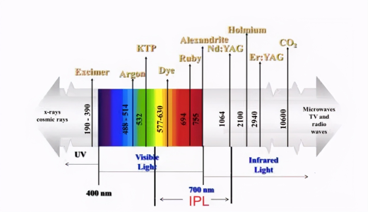 谣言粉碎机有哪些功能,谣言粉碎机排毒
