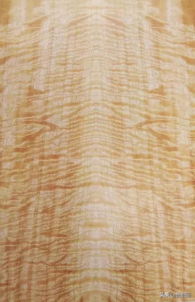 装饰材料木皮有哪些,装饰木皮有哪几种