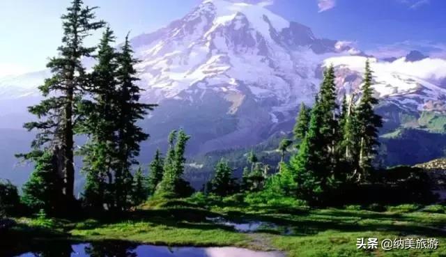 西雅图一生必去的景点,西雅图旅游攻略必去景点大全