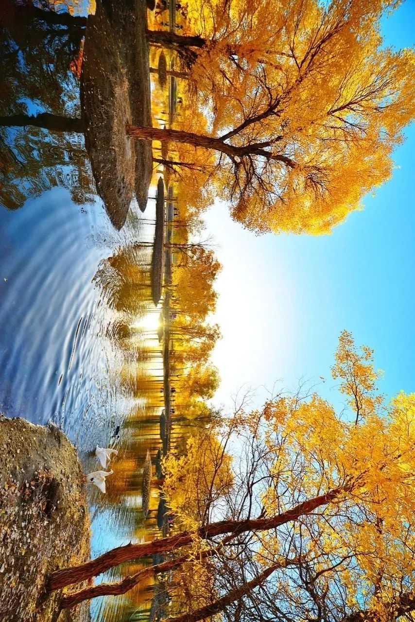 青白江不修地铁是真的吗,青白江不通地铁是地理原因吗