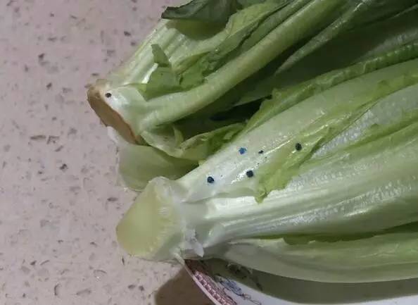 菜上残留农药怎么办,菜叶上残留的绿色农药叫什么药