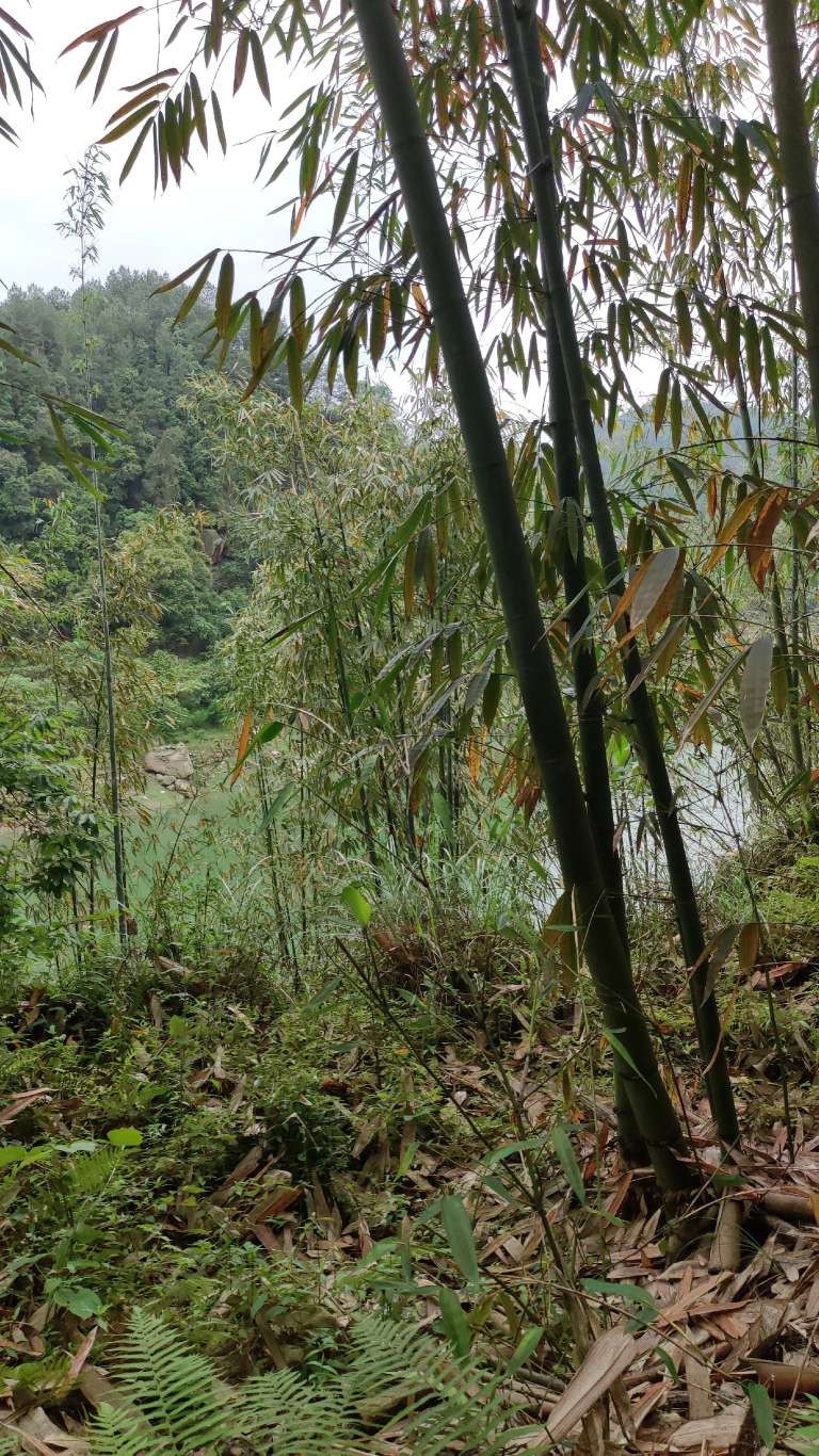 长沙水库钓鱼条件最好的地方,长沙哪里好钓鱼攻略