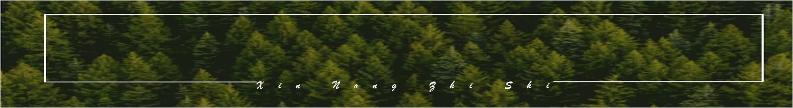 玉米锈病发病初期症状,玉米锈病防治方法有哪些