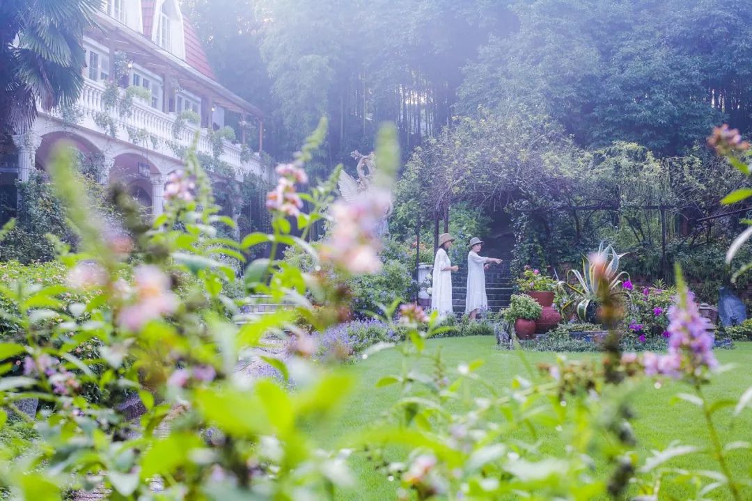 一个安徽爷爷，花1万块种出5000㎡私家花园，被评为中国最美