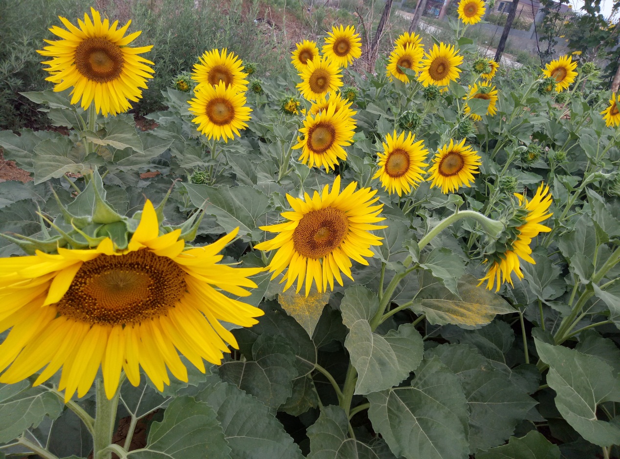 阅读感悟人生感言,阅读经典丰富人生的感受和收获